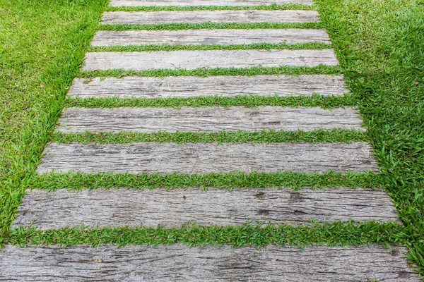 Camino de paseo en bloque en el jardín con hierba verde — Foto de Stock