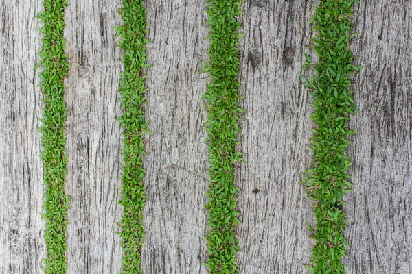 Block zu Fuß Weg Textur — Stockfoto