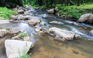 Mae Tia şelale, Ob akciğer Milli Parkı Chiangmai Tayland