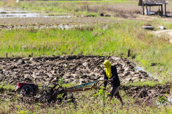 Asia Farmer utiliza tractor de timón en el campo de arroz —  Fotos de Stock