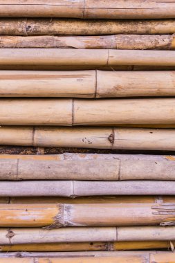 Bambu dokusu ve arkaplan