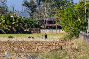 Asya çiftçi Tiller traktör pirinç alanı kullanma