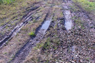 Çim yolda araba yolu