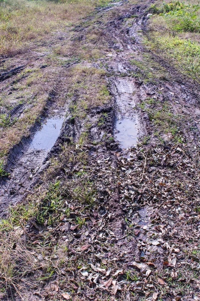 Car track on the grass way — Stock Photo, Image