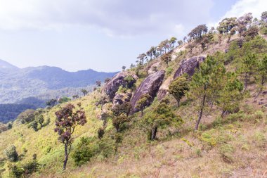 doi Inthanon, Chiangmai Tayland dağda