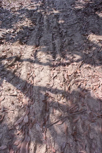 Wheel tracks on dirt in asia — Stock Photo, Image