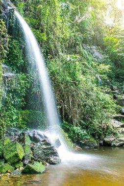 Mon tha DOI suthep - pui Milli Parkı, chiangmai şelale daha