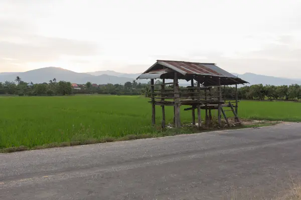 Antigua casa de campo en los campos de arroz con montaña —  Fotos de Stock