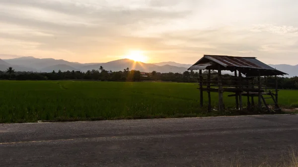 Gammal stuga i risfälten med berg — Stockfoto