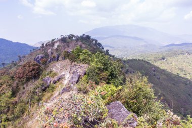 doi Inthanon, Chiangmai Tayland dağda