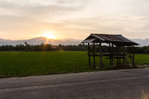 Antigua casa de campo en los campos de arroz con montaña — Foto de Stock