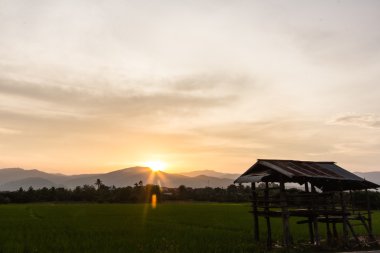 eski yazlık dağ ile pirinç tarlaları