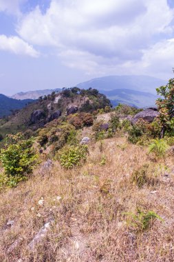 doi Inthanon, Chiangmai Tayland dağda