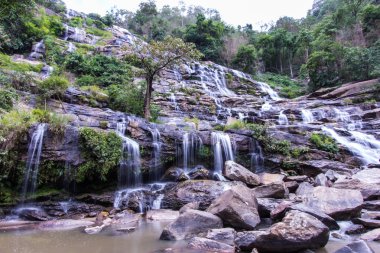 Chiang Mai, Tayland Mae Ya şelale