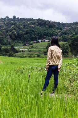 Teras alanı pirinç Pha Pzt Chiangmai Tayland Taylandlı kadın