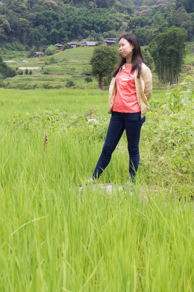 Thaise vrouw met terrasvormige Rice Field, Pha Mon Chiangmai Thailand — Stockfoto