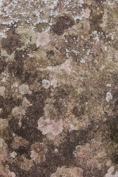 Кам'яна текстура і фон — стокове фото