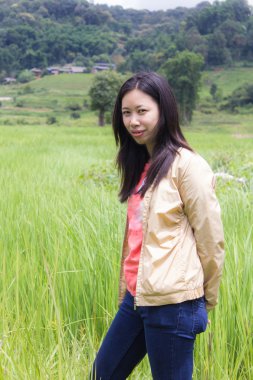 Teras alanı pirinç Pha Pzt Chiangmai Tayland Taylandlı kadın