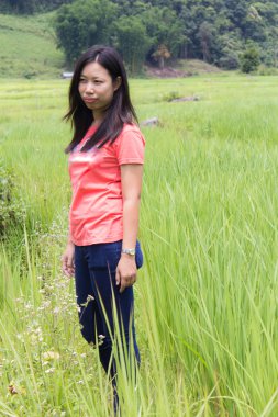 Teras alanı pirinç Pha Pzt Chiangmai Tayland Taylandlı kadın