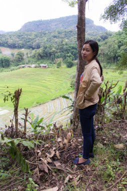 Teras alanı pirinç Pha Pzt Chiangmai Tayland Taylandlı kadın