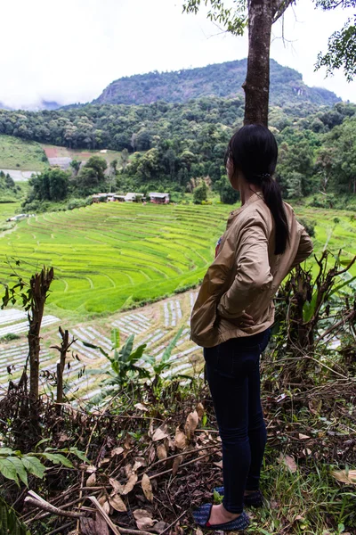 Thaise vrouw met terrasvormige Rice Field, Pha Mon Chiangmai Thailand — Stockfoto