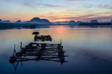 Samchong-tai, Phang Nga, balıkçı köyü'nde istiridye çiftlikleri