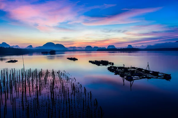 Les fermes ostréicoles du village des pêcheurs de Samchong-tai, Phang Nga — Photo