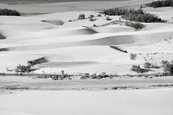 Údolí Nubra — Stock fotografie