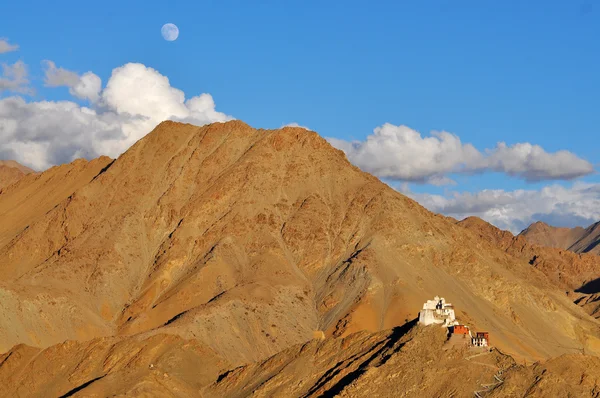 Ladakh 궁전 — 스톡 사진