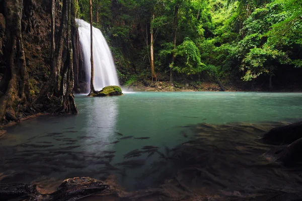 Cascade dans la forêt — Photo