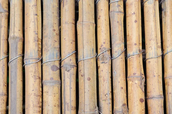 Bamboo fence — Stock Photo, Image