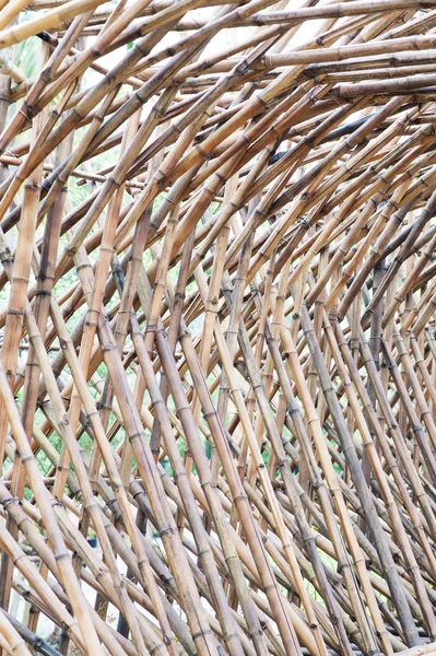 Bamboo fence background — Stock Photo, Image
