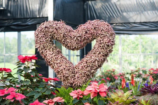 Blomdekor i hjärta form — Stockfoto