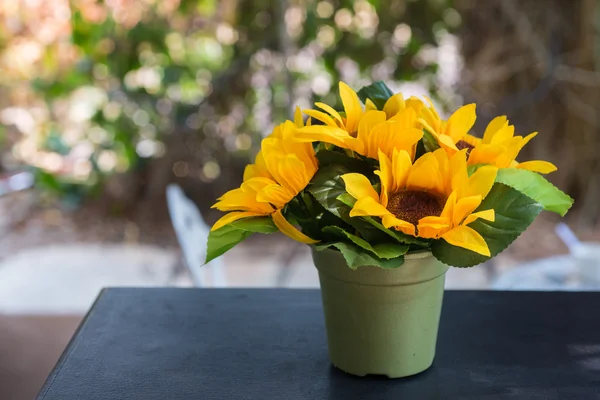 Tournesols dans le pot — Photo