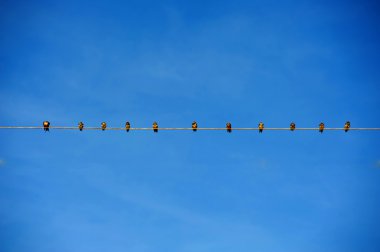 Üst üste mavi gökyüzü üzerinde kuşlar