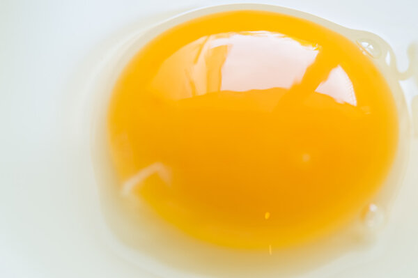 raw yellow yolk in bowl