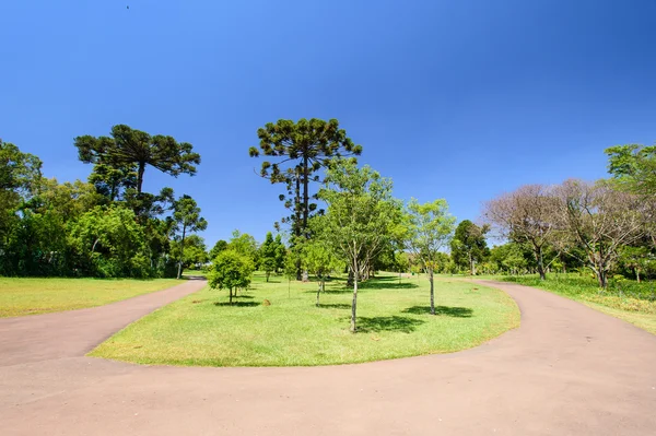 Orto botanico, Curitiba, Brasile — Foto Stock