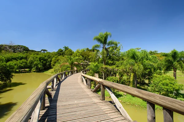 Wooden bridge in botanical garden — Stock Photo, Image