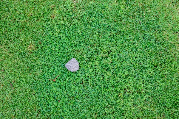 Roca en el campo de hierba — Foto de Stock