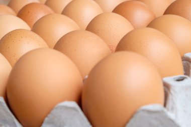 Bir düzine yumurta karton ahşap bir masa üzerinde kahverengi