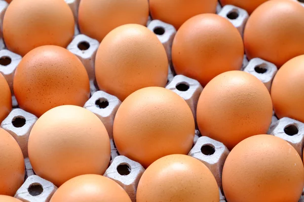 A dozen brown eggs in a carton on a wooden table — Stock Photo, Image
