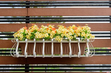 bitki-kapları ile balkon çiçek kutusu dolu