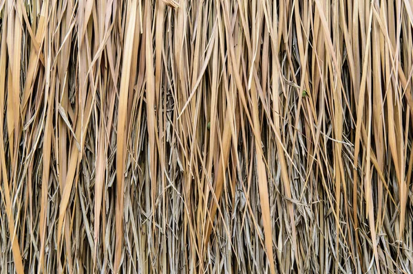 The Straw pattern — Stock Photo, Image