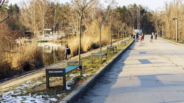 Warm winter evening in the park, people having a good time