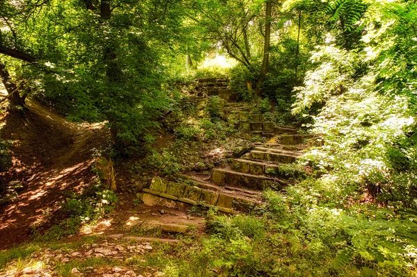 Yeşil ağaçların altındaki ormanda eski eğri büğrü masal merdivenleri.