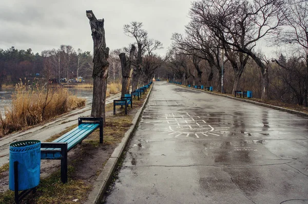 Yağmurdan sonra Chisinau, Moldova 'daki Rose Valley parkında ıslak bir yol var. Otoyolun kenarında duran mavi banklar ve mavi çöp sepeti görünür.