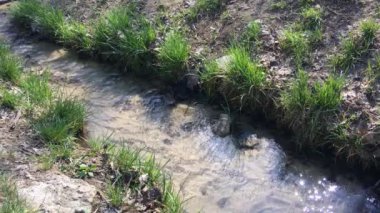 Öğleden sonra parkta küçük bir derenin sakin akışı