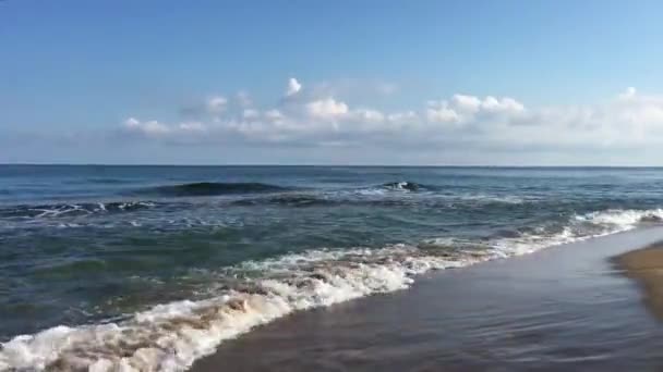 Vídeo Playa Tropical Que Muestra Olas Marinas Azules Espumosas Aplastándose — Vídeos de Stock