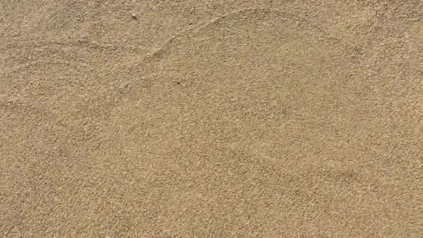 ギリシャの海岸で砂を洗う澄んだ海の波のトップのクローズアップビュー — ストック動画