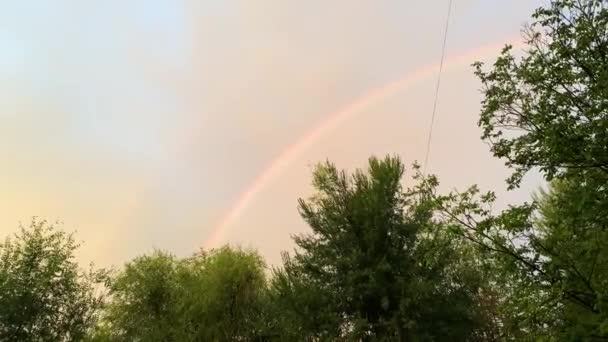 Arcobaleno Lungo Cielo Sopra Cime Degli Alberi — Video Stock